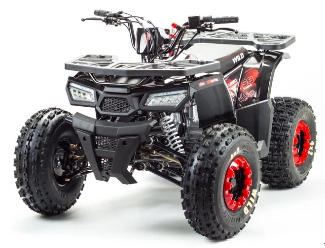 Квадроцикл PROMAX WILD 175 в Петропавловске-Камчатском