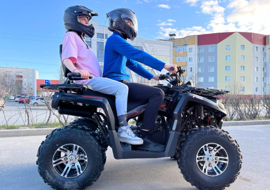 Квадроцикл PROMAX RENEGADE 300 LONG WINCH PRO (2025) в Петропавловске-Камчатском