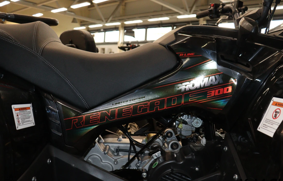 Квадроцикл PROMAX RENEGADE 300 LONG WINCH PRO (2025) в Петропавловске-Камчатском