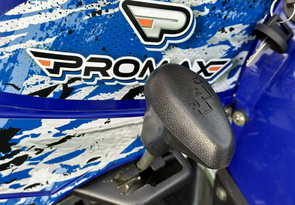  Квадроцикл PROMAX ATV 250 MAX (2025) в Петропавловске-Камчатском