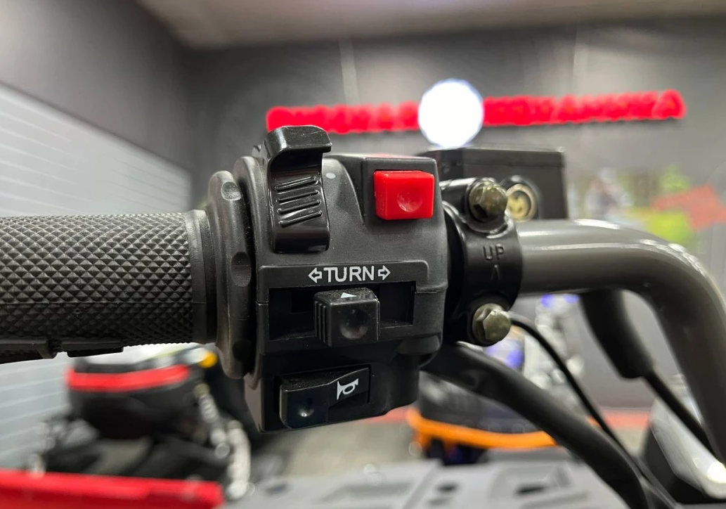 Квадроцикл PROMAX RENEGADE 300 LONG WINCH PRO (2025) в Петропавловске-Камчатском