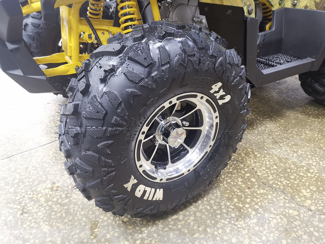 Квадроцикл PROMAX STORM 190 PRO в Петропавловске-Камчатском