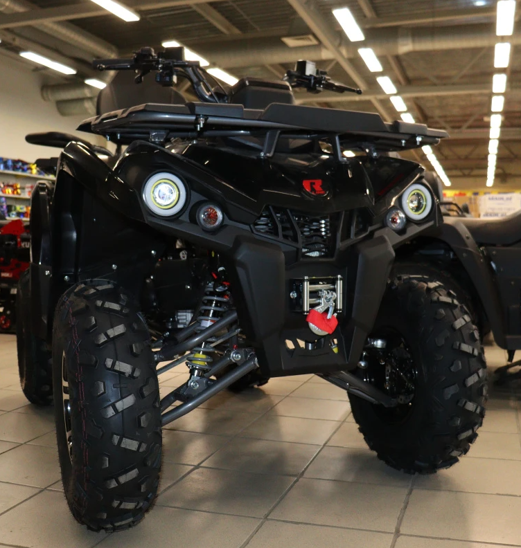 Квадроцикл PROMAX RENEGADE 300 LONG WINCH PRO (2025) в Петропавловске-Камчатском