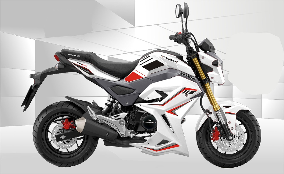 Мотоцикл PROMAX STRYKER 200(49) 2.0 в Петропавловске-Камчатском