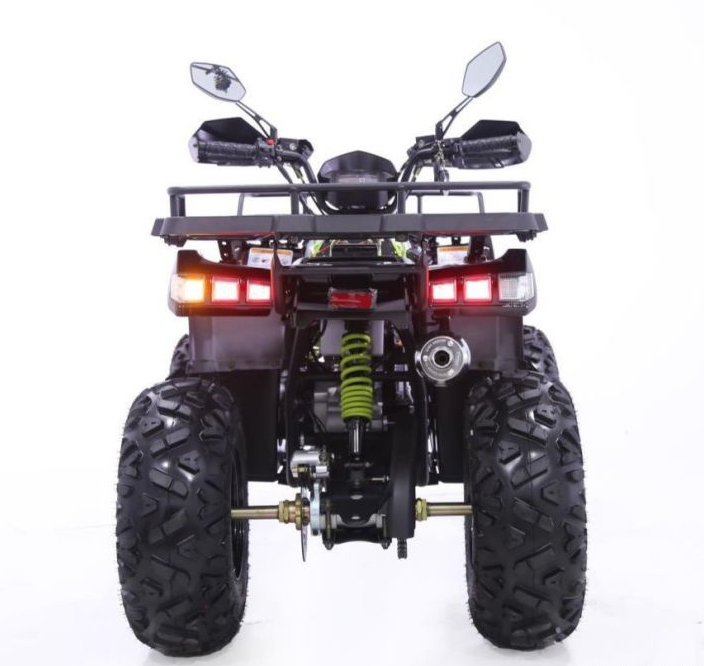 Квадроцикл YACOTA WARRIOR 200 PRO в Петропавловске-Камчатском