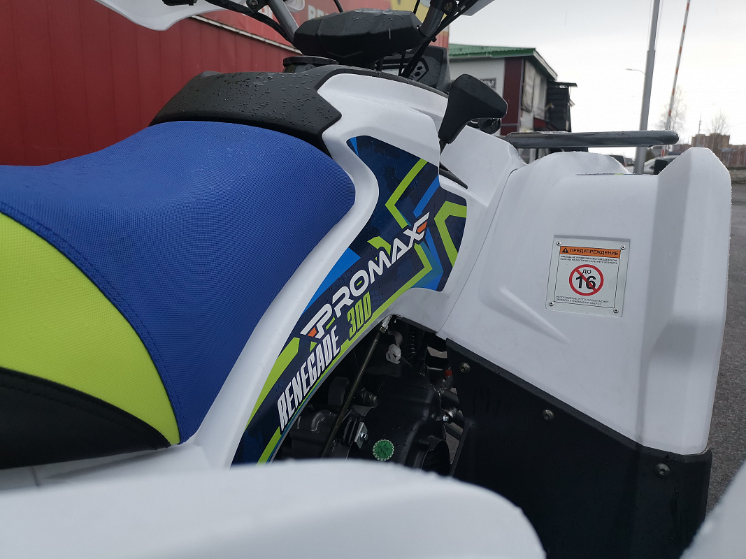 Квадроцикл PROMAX RENEGADE 280 LUX (2025) в Петропавловске-Камчатском