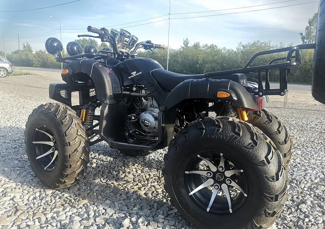 Квадроцикл PROMAX LEO 300 Max (кардан) в Петропавловске-Камчатском