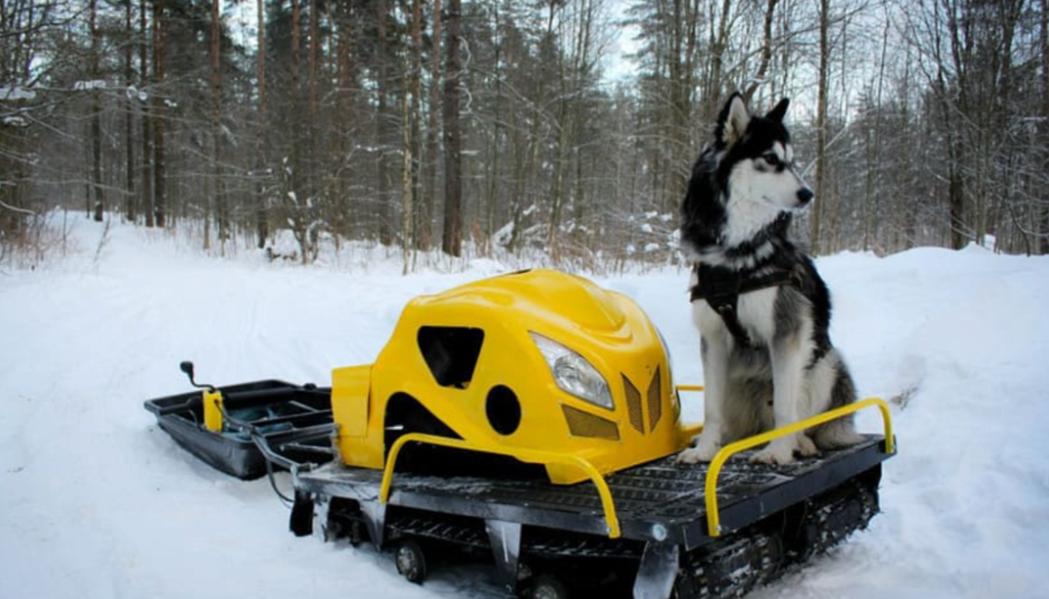Мотобуксировщик LEBEDEV MOTORS ВОЛКОДАВ POWER V13 в Петропавловске-Камчатском