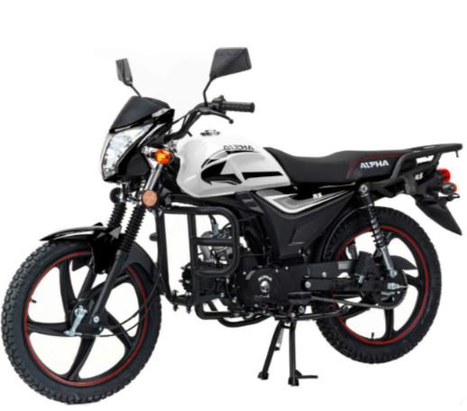 Мопед MOTOLAND (МОТОЛЕНД) Альфа RS 11 (LM48-B) в Петропавловске-Камчатском