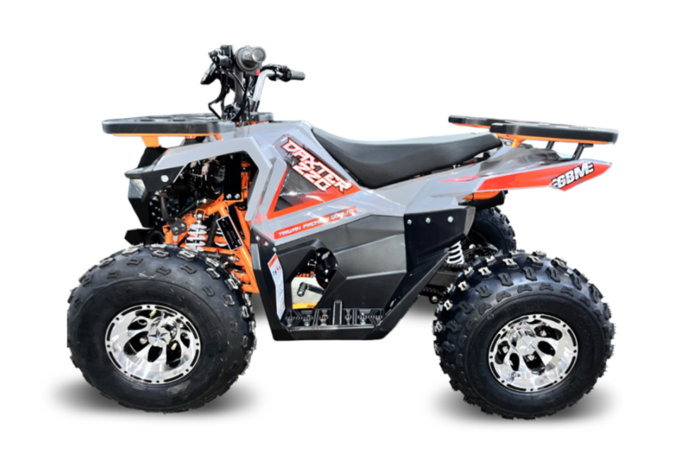 Квадроцикл GBM DAXTER 220 NEW PREMIUM в Петропавловске-Камчатском