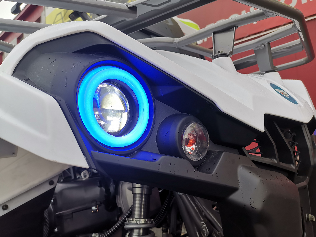 Квадроцикл PROMAX RENEGADE 280 LUX (2025) в Петропавловске-Камчатском