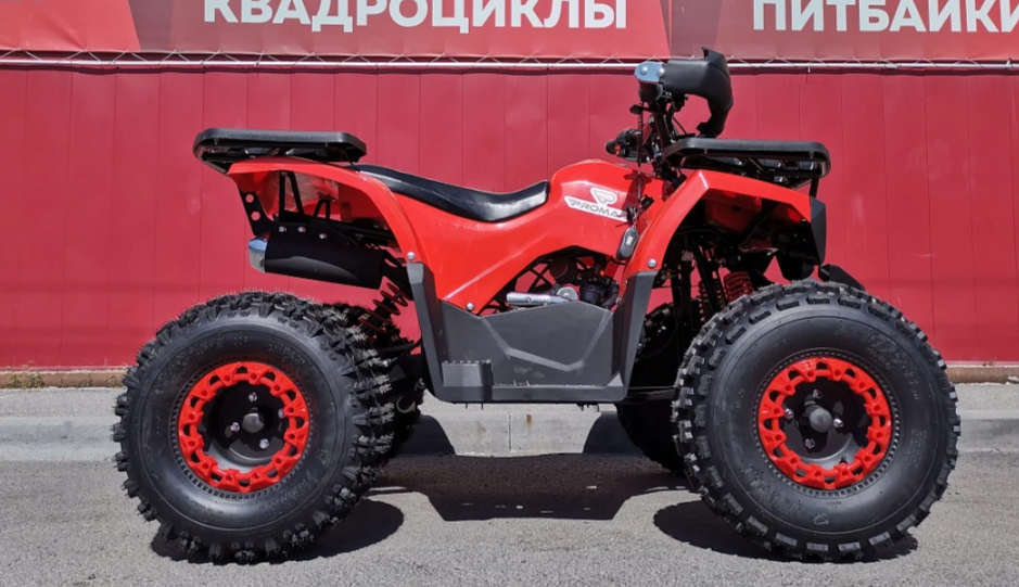 Квадроцикл PROMAX WILD 175 BASIC в Петропавловске-Камчатском