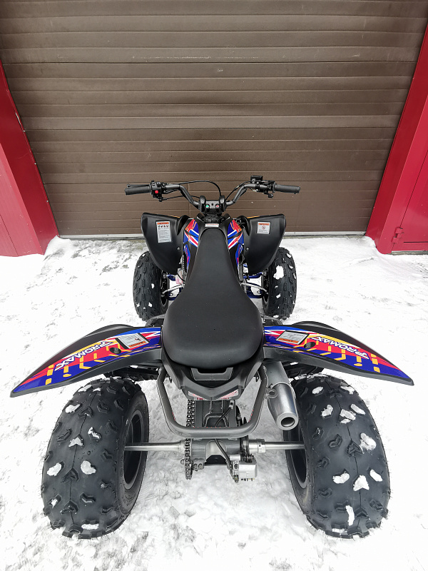 Квадроцикл PROMAX RAPTOR 300 NEW RedBull в Петропавловске-Камчатском