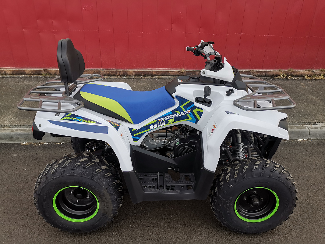 Квадроцикл PROMAX RENEGADE 280 LUX (2025) в Петропавловске-Камчатском