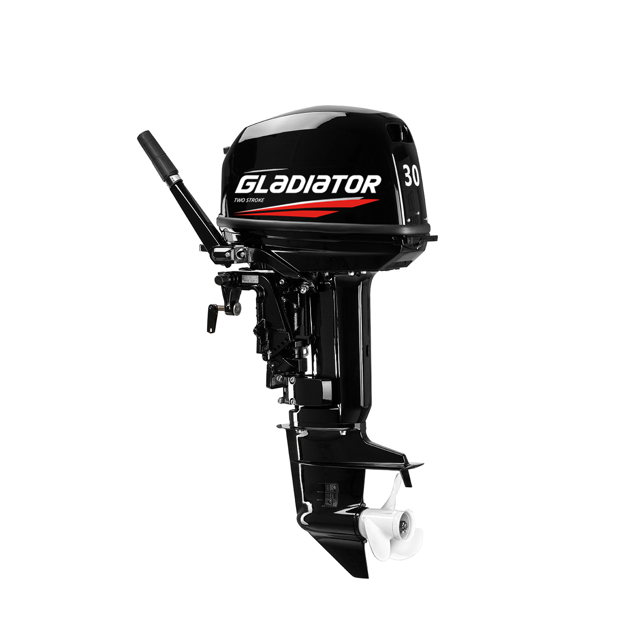 ЛОДОЧНЫЙ МОТОР GLADIATOR G30FHS в Петропавловске-Камчатском