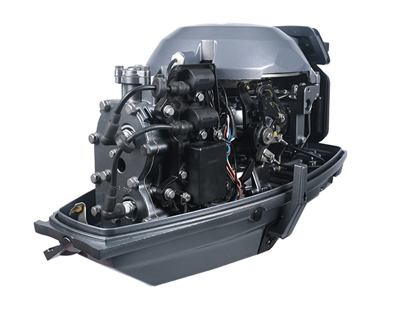 ЛОДОЧНЫЙ МОТОР ALLFA CG Т30 S в Петропавловске-Камчатском