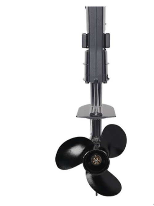 Лодочный мотор ALLFA CG F6 в Петропавловске-Камчатском