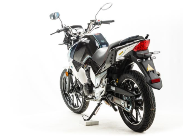 Мотоцикл MOTOLAND (МОТОЛЕНД) FIGHTER 250 в Петропавловске-Камчатском