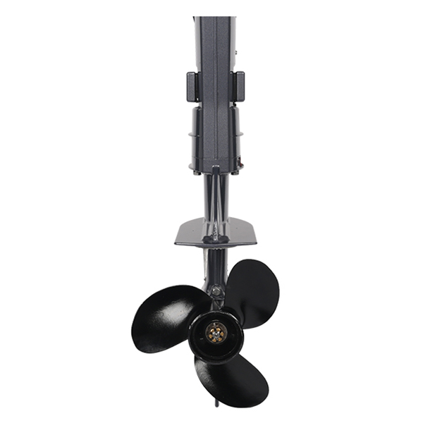 ЛОДОЧНЫЙ МОТОР ALLFA CG T9,8 Limit в Петропавловске-Камчатском