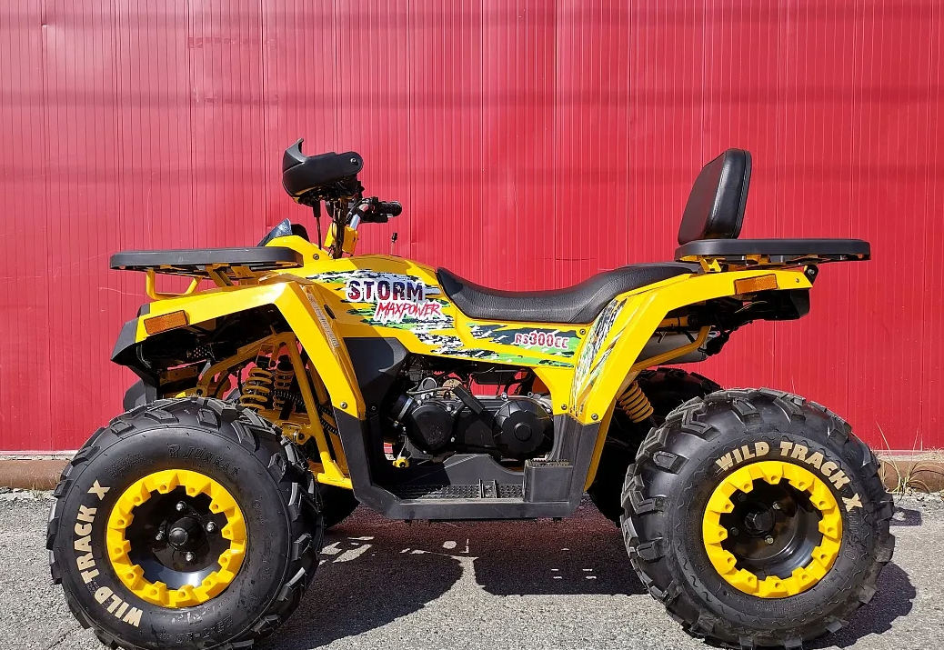 Квадроцикл PROMAX STORM 280 LUX в Петропавловске-Камчатском