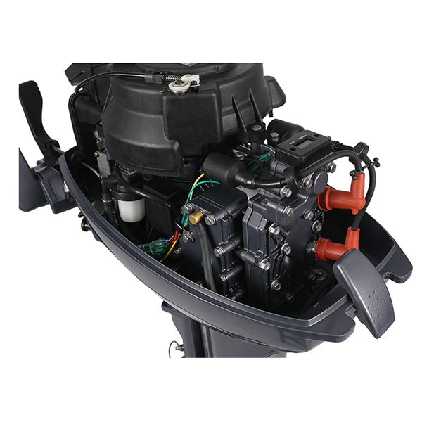 ЛОДОЧНЫЙ МОТОР ALLFA CG Т9,9 Limit в Петропавловске-Камчатском