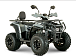 Квадроцикл YACOTA DRAGON LUX LD 150 PRO-SPORT в Петропавловске-Камчатском