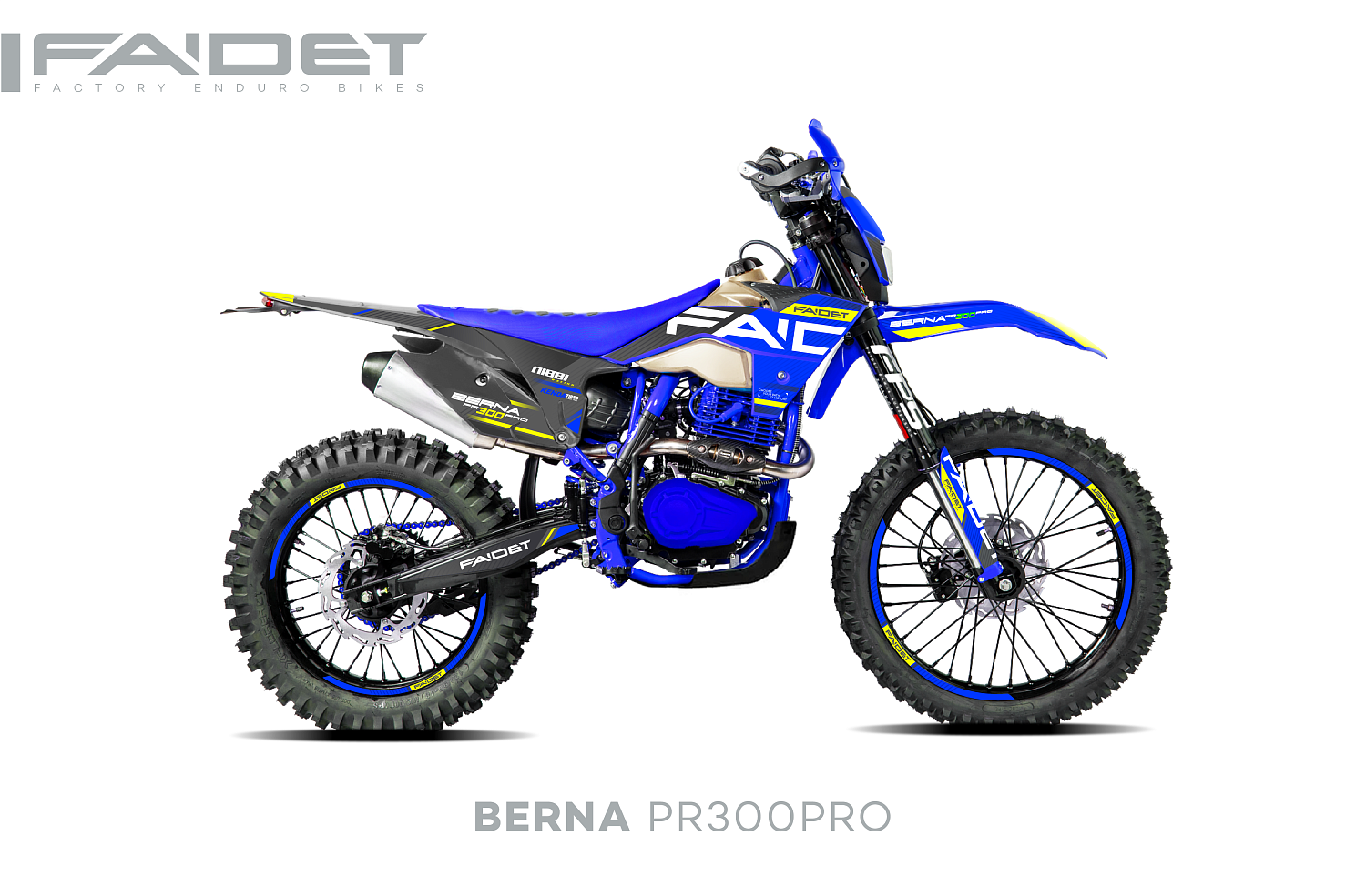 Кроссовый мотоцикл FAIDET BERNA PR300-PRO FPS в Петропавловске-Камчатском