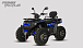Квадроцикл PROMAX TAURUS 300 MAX-PRO LONG в Петропавловске-Камчатском
