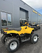 КВАДРОЦИКЛ IRBIS ATV 250  в Петропавловске-Камчатском