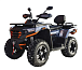 Квадроцикл MOTOLAND (МОТОЛЕНД) 300 MAX X в Петропавловске-Камчатском