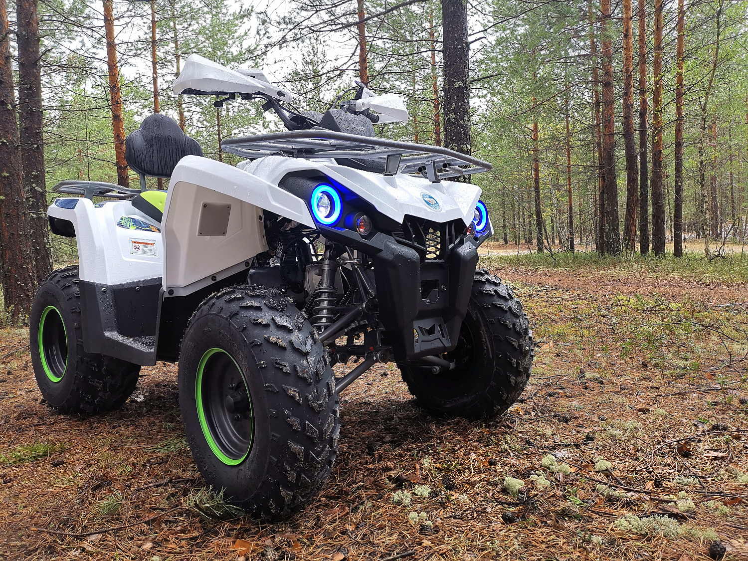 Квадроцикл PROMAX RENEGADE 280 (2025) в Петропавловске-Камчатском