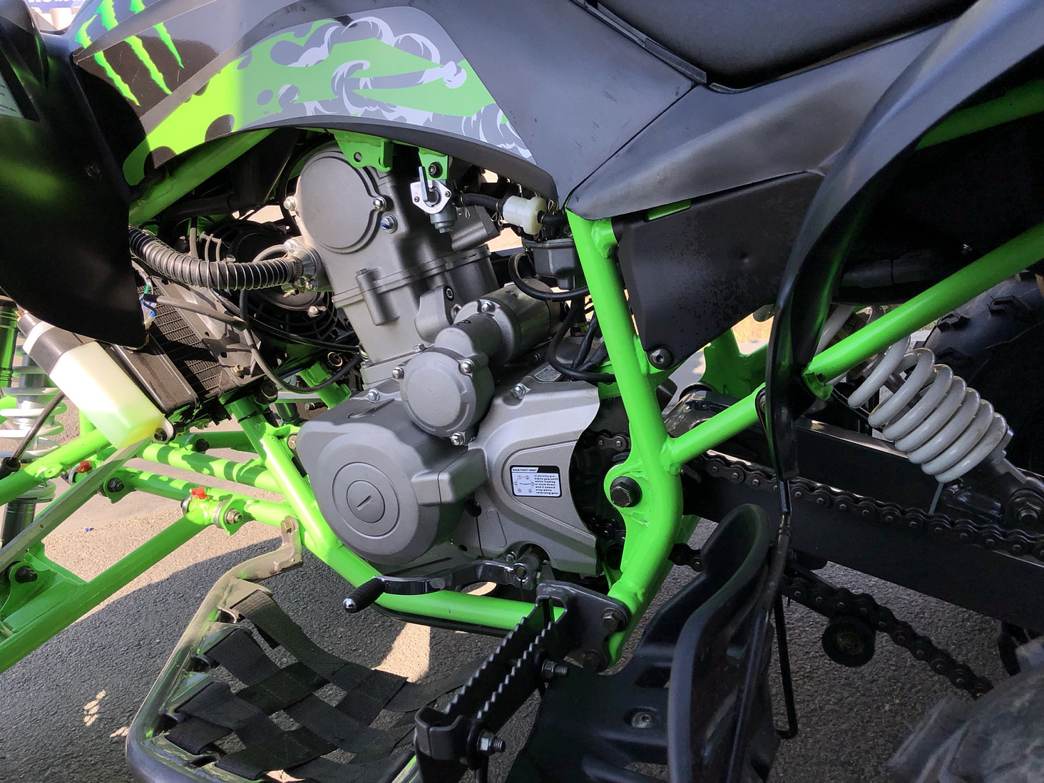 Квадроцикл PROMAX RAPTOR 300 NEW Monster в Петропавловске-Камчатском