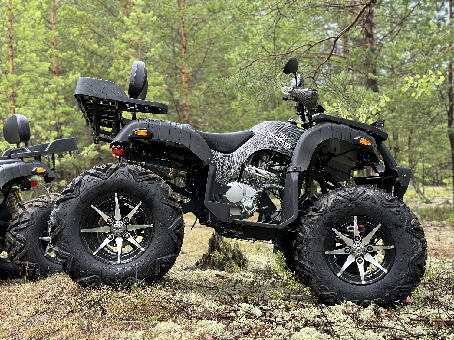 Квадроцикл PROMAX 320 DOMINATOR PRO (2025) в Петропавловске-Камчатском