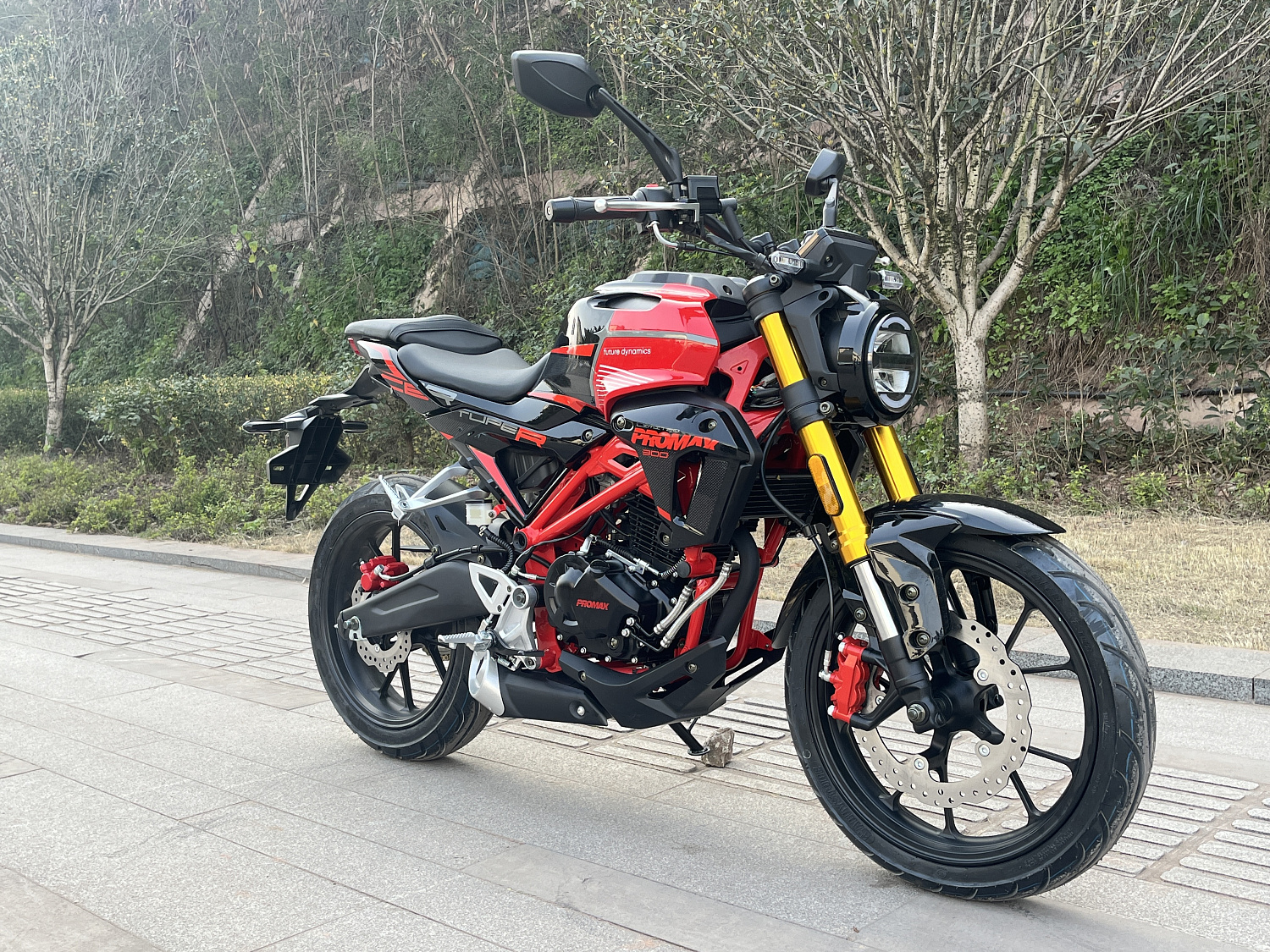 Мотоцикл PROMAX CB300 в Петропавловске-Камчатском