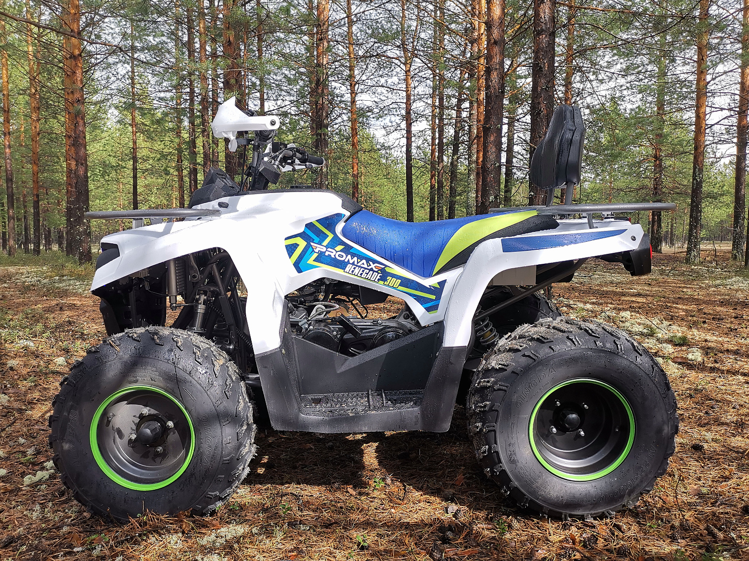 Квадроцикл PROMAX RENEGADE 280 (2025) в Петропавловске-Камчатском