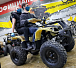 Квадроцикл PROMAX ATV 250 (2025) в Петропавловске-Камчатском