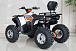 Квадроцикл GBM STORMRIDER 220 PREMIUM в Петропавловске-Камчатском