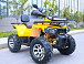Квадроцикл MOTOLAND (МОТОЛЕНД) VOX200 WILD TRACK X PRO (баланс. вал) в Петропавловске-Камчатском