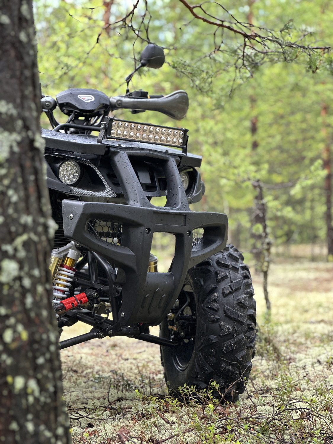 Квадроцикл PROMAX 320 DOMINATOR PRO (2025) в Петропавловске-Камчатском