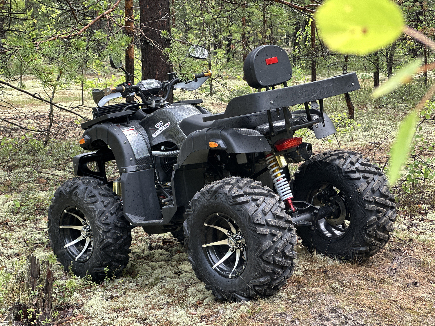 Квадроцикл PROMAX 320 DOMINATOR PRO (2025) в Петропавловске-Камчатском