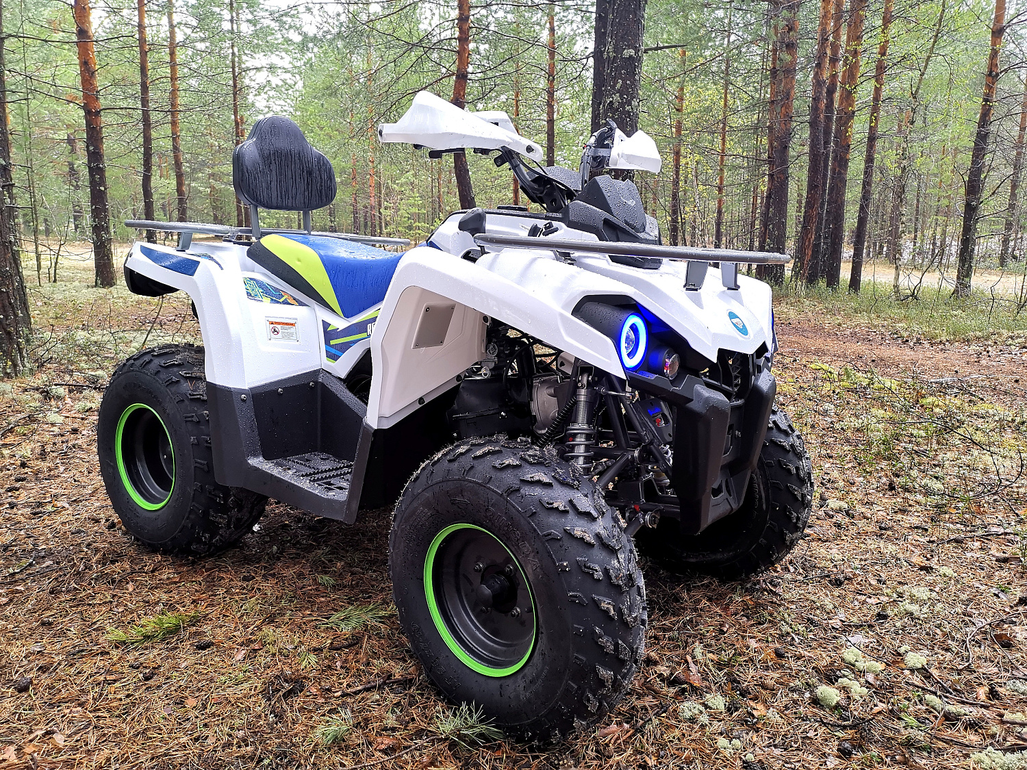 Квадроцикл PROMAX RENEGADE 280 (2025) в Петропавловске-Камчатском