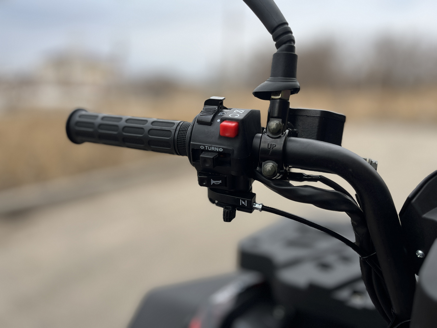 Квадроцикл PROMAX TAURUS 300 MAX-PRO LONG в Петропавловске-Камчатском