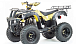 Квадроцикл MOTOLAND (МОТОЛЕНД) 250 ADVENTURE в Петропавловске-Камчатском