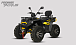 Квадроцикл PROMAX TAURUS 300 MAX-PRO LONG в Петропавловске-Камчатском